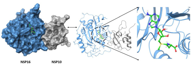 Structural-Based Virtual Screening of FDA-Approved Drugs Repository for NSP16 Inhibitors, Essential for SARS-COV-2 Invasion Into Host Cells: Elucidation From MM/PBSA Calculation.