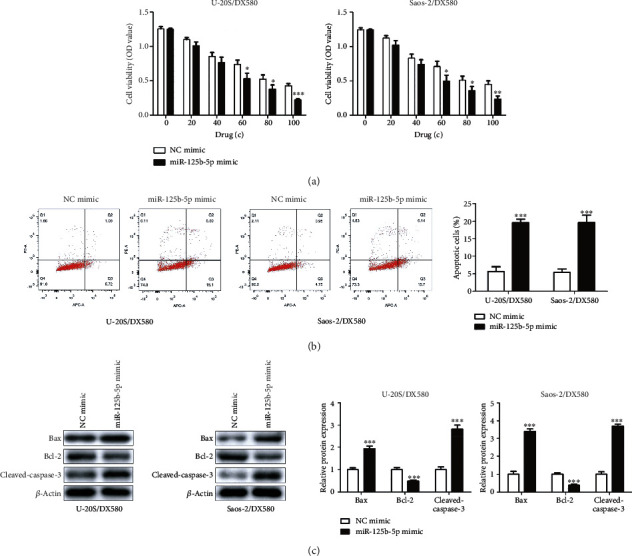 MiR-125b-5p/STAT3 Axis Regulates Drug Resistance in Osteosarcoma Cells by Acting on ABC Transporters.