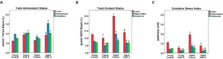 The role of SIRT2 inhibition on the aging process of brain in male rats