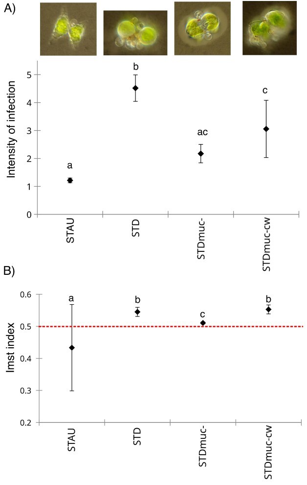 Mucilage protects the planktonic desmid <i>Staurodesmus</i> sp. against parasite attack by a chytrid fungus.