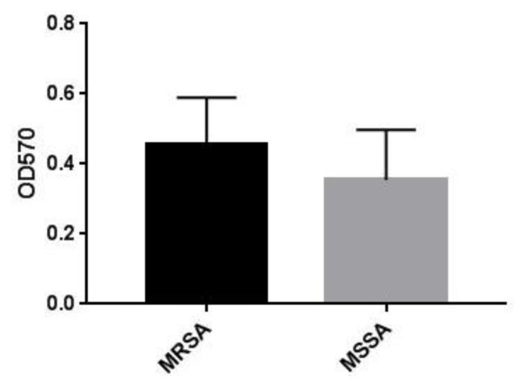 Phenotypic and Molecular Detection of Biofilm Formation in Methicillin-Resistant <i>Staphylococcus Aureus</i> Isolated from Different Clinical Sources in Erbil City.