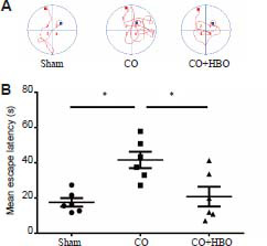 Effects of hyperbaric oxygen on Notch signaling pathway after severe carbon monoxide poisoning in mice.