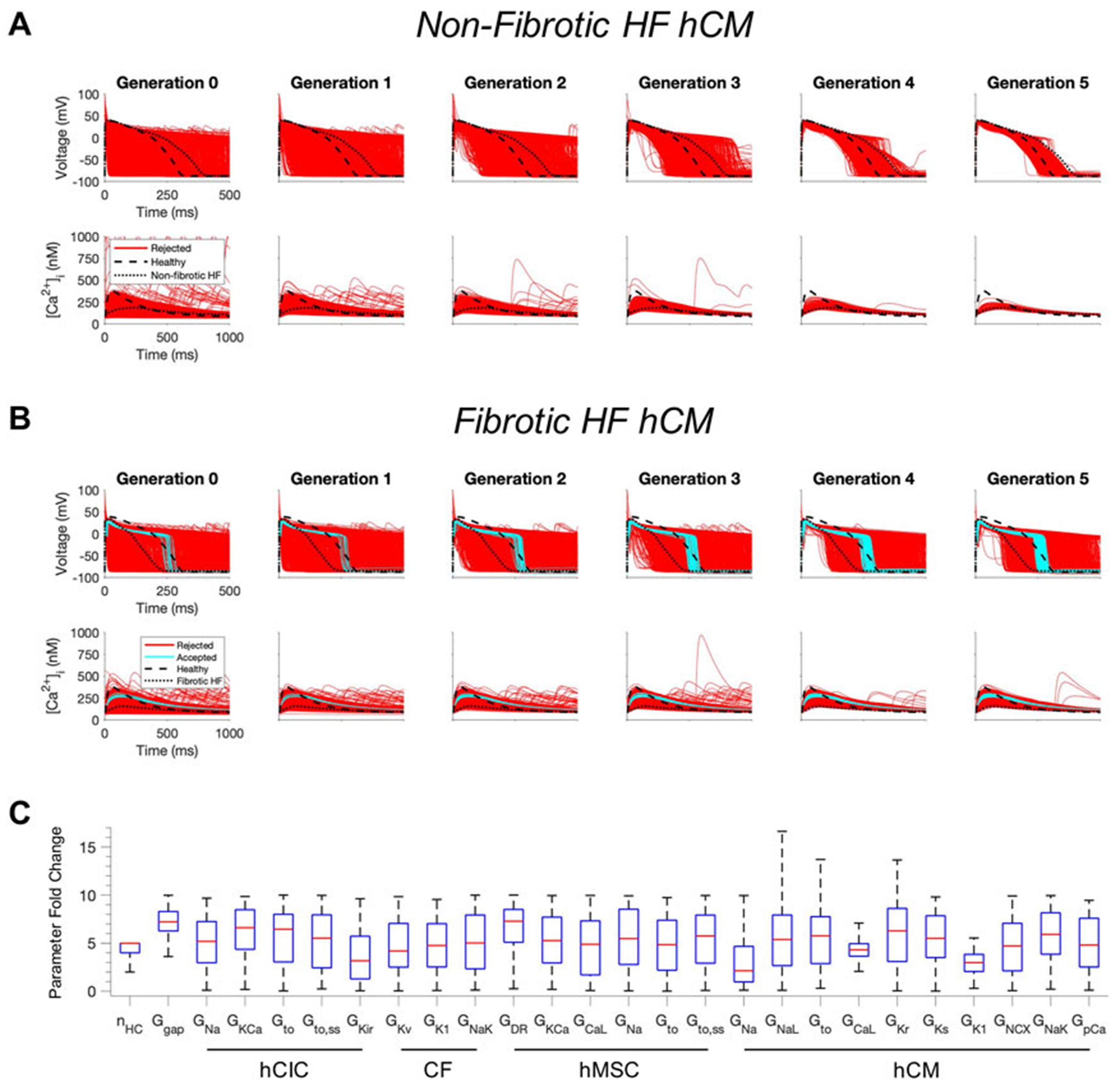 Computational design of custom therapeutic cells to correct failing human cardiomyocytes.