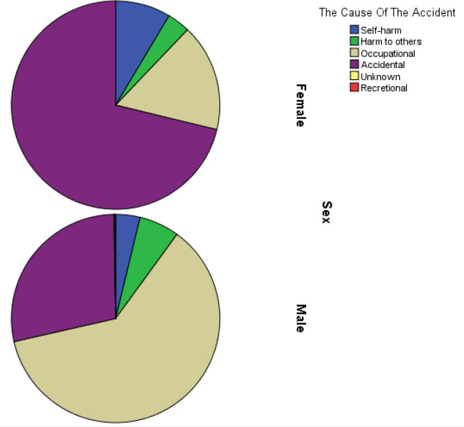 Implementation of Upper Extremity Trauma Registry: A Pilot Study.