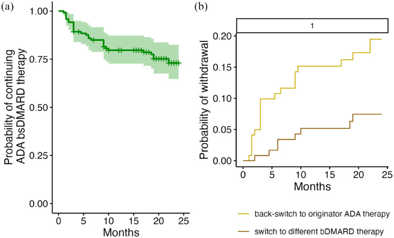 Treatment with adalimumab in patients with chronic inflammatory rheumatic diseases: a study of treatment trajectories on a patient level in routine care.