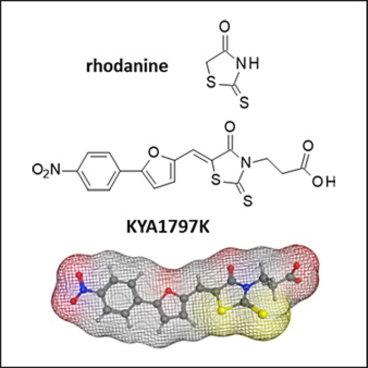 A Potential Off-Target Effect of the Wnt/β-Catenin Inhibitor KYA1797K: PD-L1 Binding and Checkpoint Inhibition.