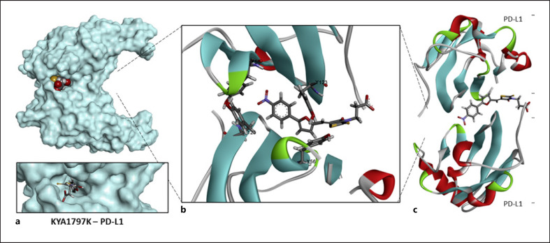 A Potential Off-Target Effect of the Wnt/β-Catenin Inhibitor KYA1797K: PD-L1 Binding and Checkpoint Inhibition.