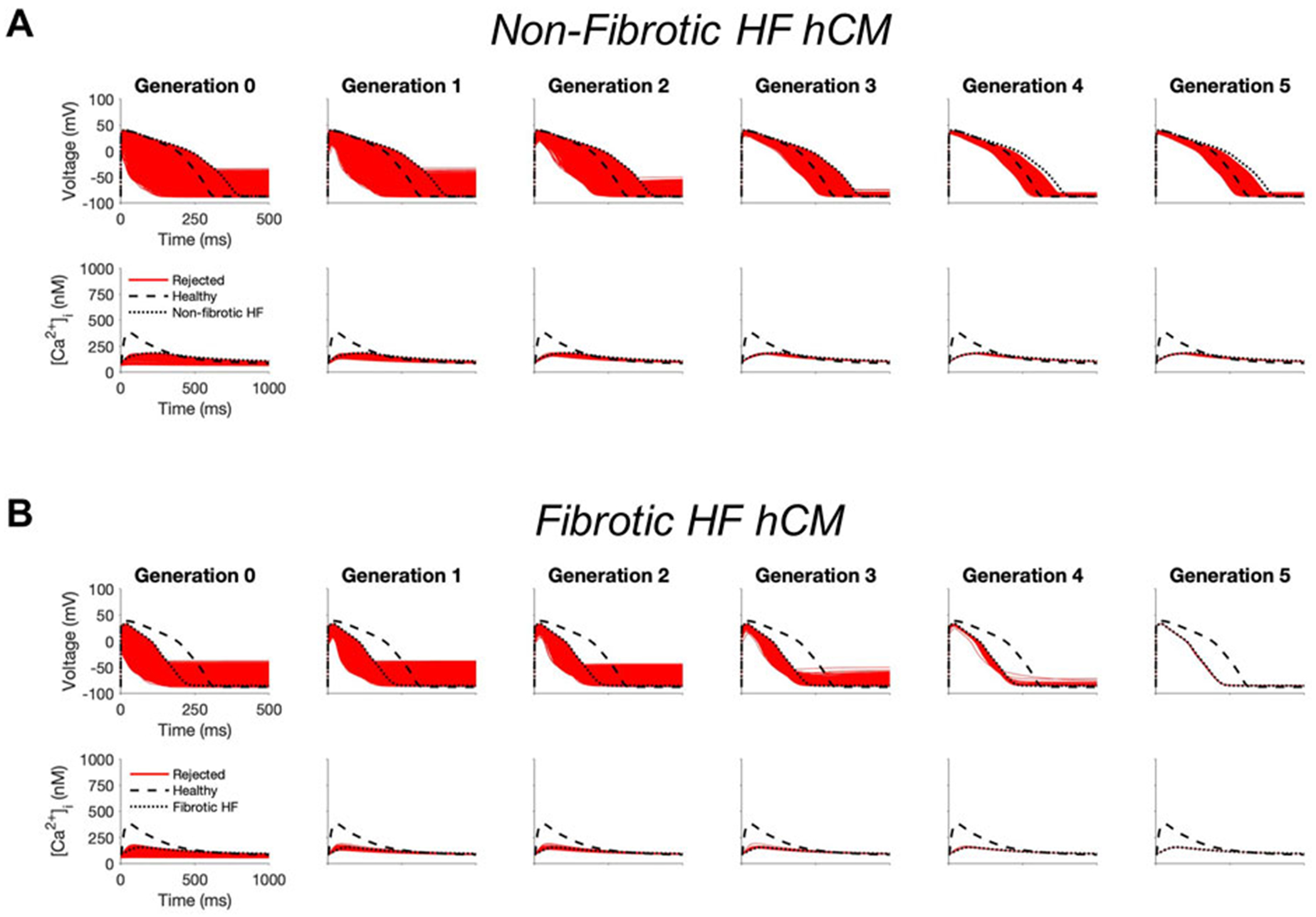 Computational design of custom therapeutic cells to correct failing human cardiomyocytes.