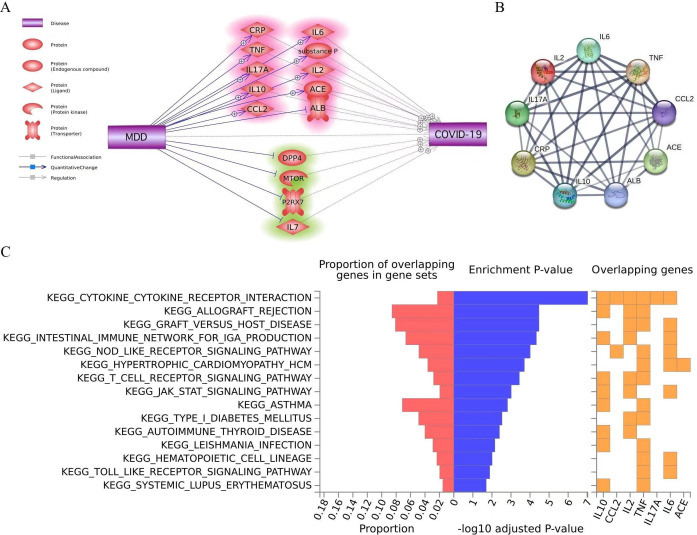 Causal associations between major depressive disorder and COVID-19.