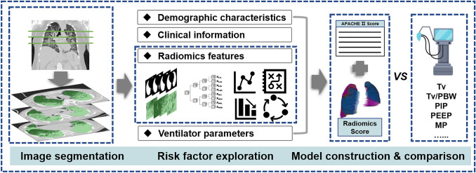 Added value of chest CT images to a personalized prognostic model in acute respiratory distress syndrome: a retrospective study.