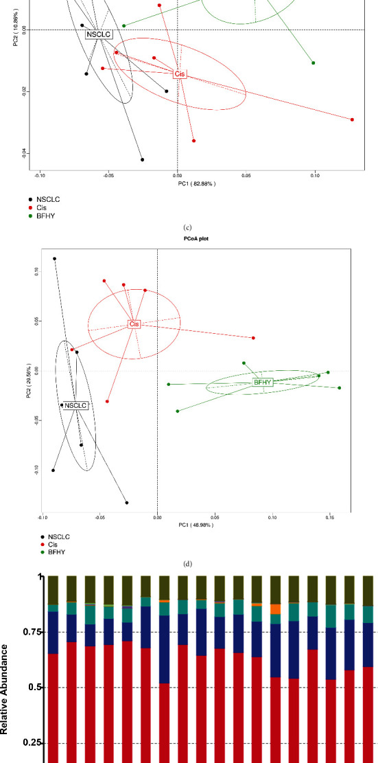 Combination of BFHY with Cisplatin Relieved Chemotherapy Toxicity and Altered Gut Microbiota in Mice.