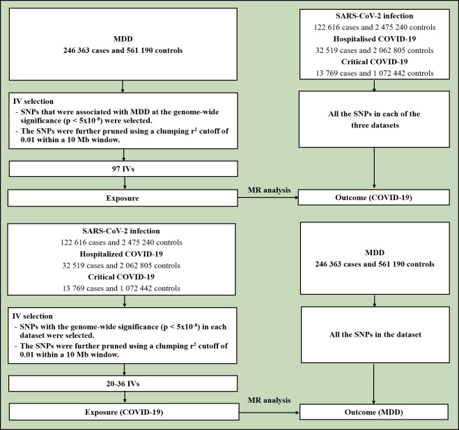 Causal associations between major depressive disorder and COVID-19.