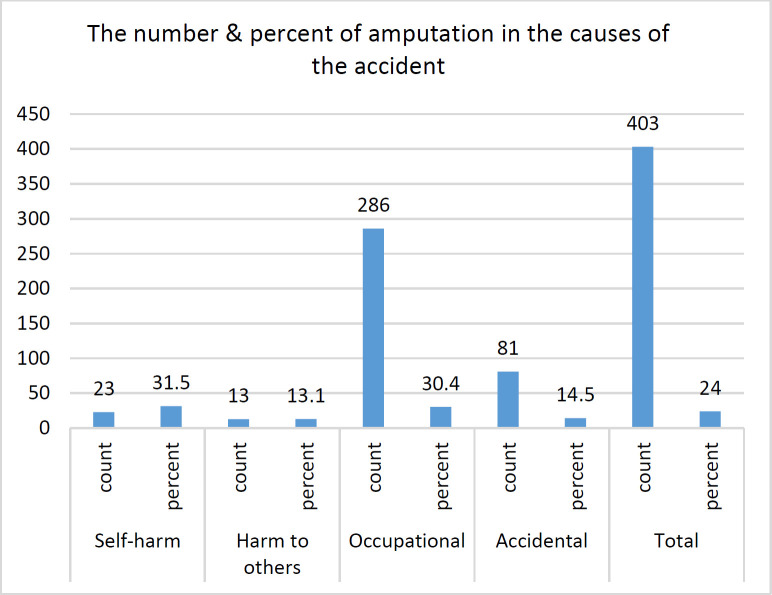 Implementation of Upper Extremity Trauma Registry: A Pilot Study.