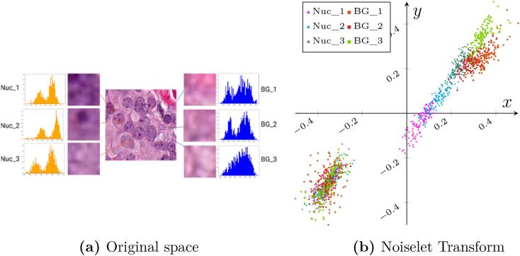 Removing non-nuclei information from histopathological images: A preprocessing step towards improving nuclei segmentation methods