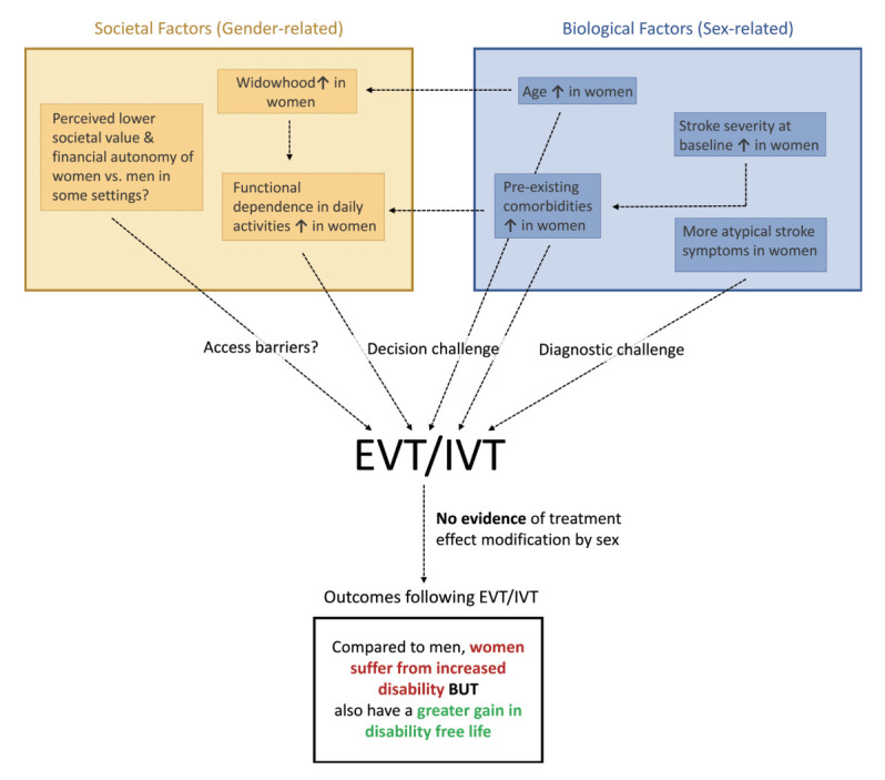 Sex and Gender Differences in Stroke and Their Practical Implications in Acute Care.