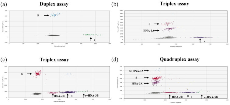 Non-invasive prenatal testing for fetal Ss, Kidd, and CTL2 blood group prediction by multiplex digital droplet PCR.