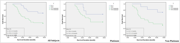 Prognostic Value of Vimentin in Triple Negative Breast Cancer Patients Depends on Chemotherapy Regimen and p53 Mutant Expression.