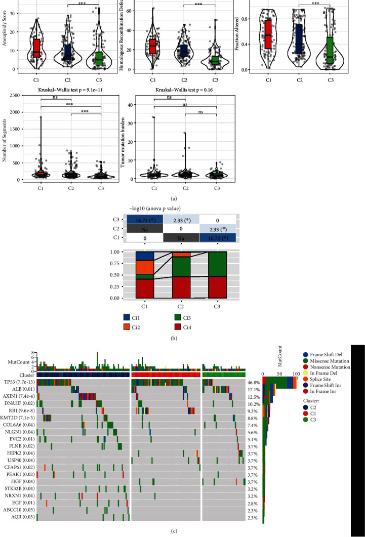 Classification of Signature-Based Phenotypes of Aging-Related Genes to Identify Prognostic and Immune Characteristics in HCC.