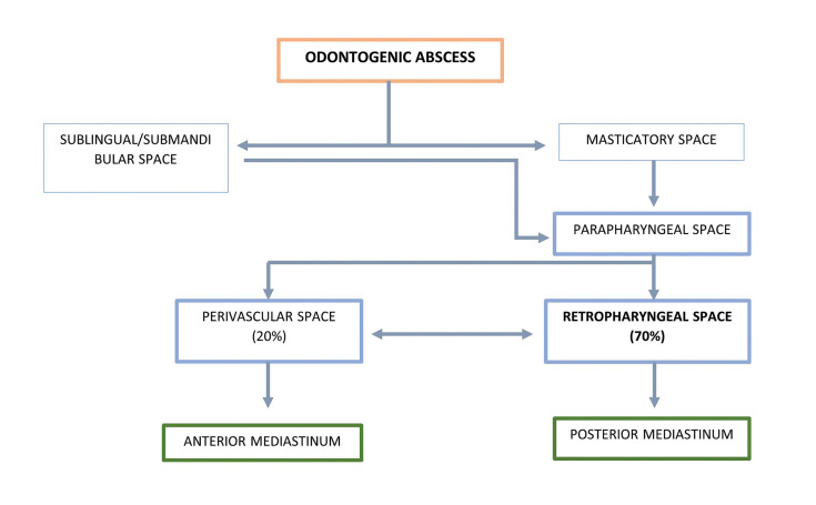 Survival rate of odontogenic descending necrotizing mediastinitis. Our experience in last 5 years.