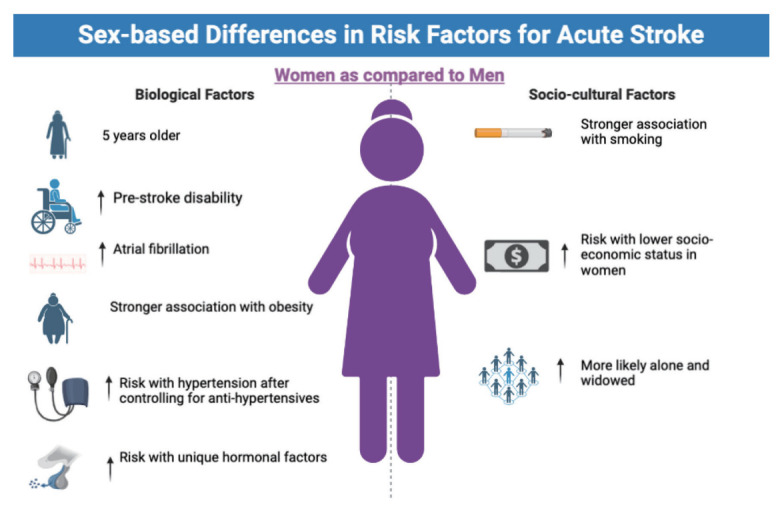 Sex and Gender Differences in Stroke and Their Practical Implications in Acute Care.