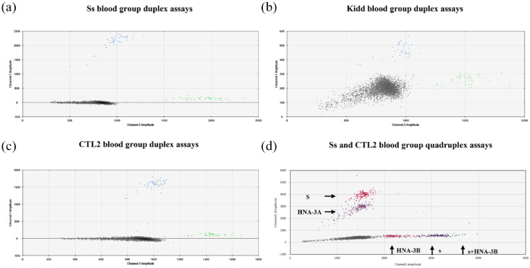 Non-invasive prenatal testing for fetal Ss, Kidd, and CTL2 blood group prediction by multiplex digital droplet PCR.