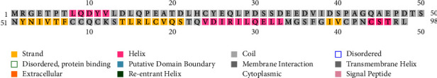 Polymorphism of E6 and E7 Genes in Human Papillomavirus Types 31 and 33 in Northeast China.