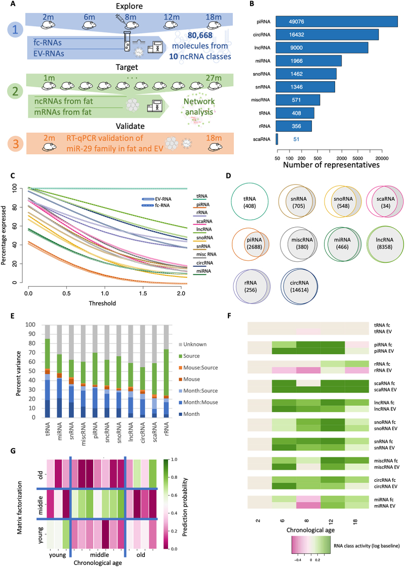 Ageing-associated small RNA cargo of extracellular vesicles.