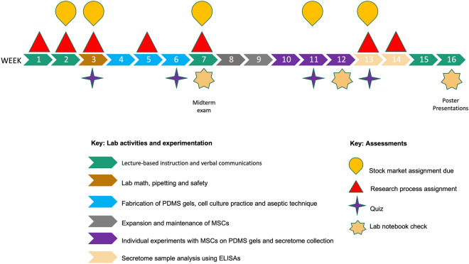 Development and Implementation of a Bioinnovation Focused Course-Based Research Experience for Undergraduate Students.