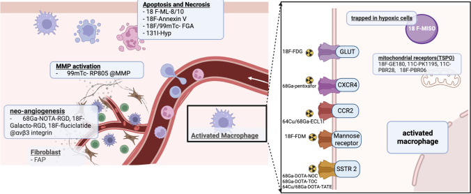 Novel Radiotracers for Molecular Imaging of Myocardial Inflammation: an Update Focused on Clinical Translation of Non-18F-FDG Radiotracers.