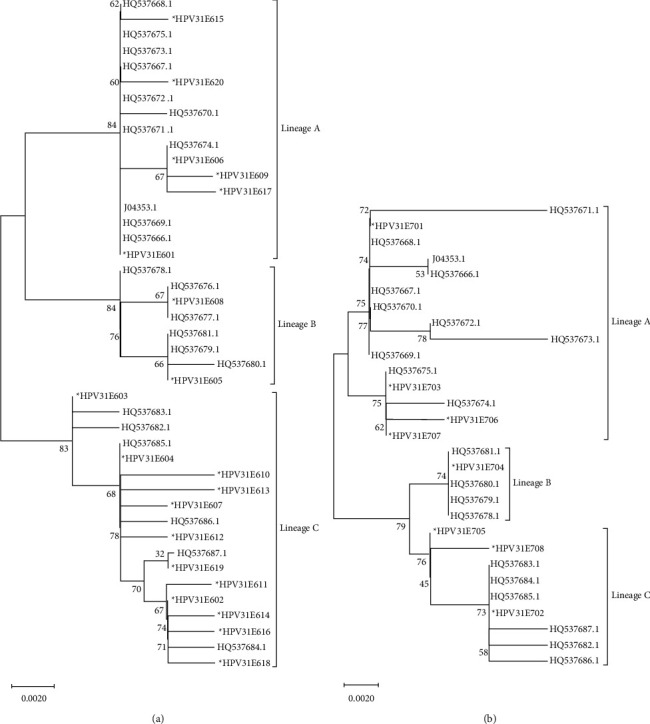 Polymorphism of E6 and E7 Genes in Human Papillomavirus Types 31 and 33 in Northeast China.