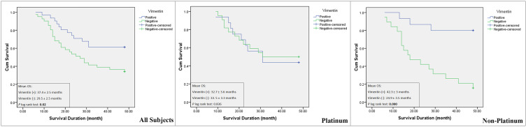 Prognostic Value of Vimentin in Triple Negative Breast Cancer Patients Depends on Chemotherapy Regimen and p53 Mutant Expression.