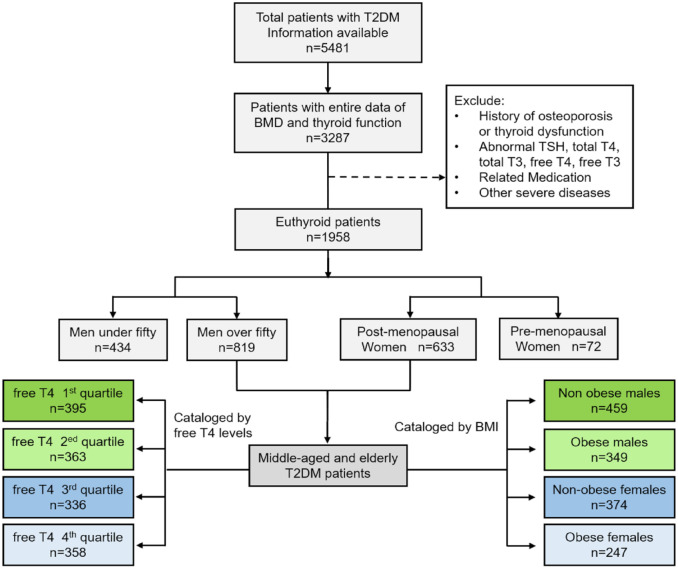 High-normal free thyroxine level is related with decreased bone mineral density in nonobese male patients with type 2 diabetes over 50 years old.