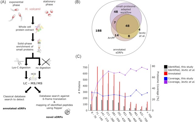 Revealing the small proteome of <i>Haloferax volcanii</i> by combining ribosome profiling and small-protein optimized mass spectrometry.