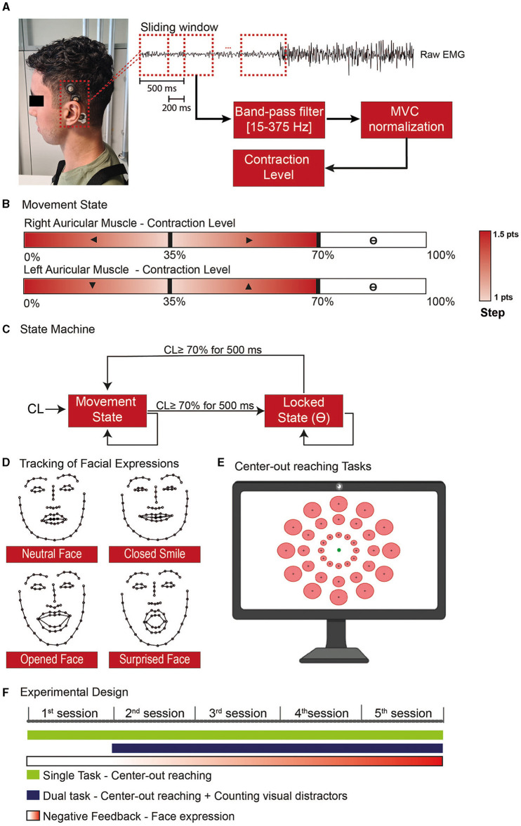 Human-machine interface for two-dimensional steering control with the auricular muscles.