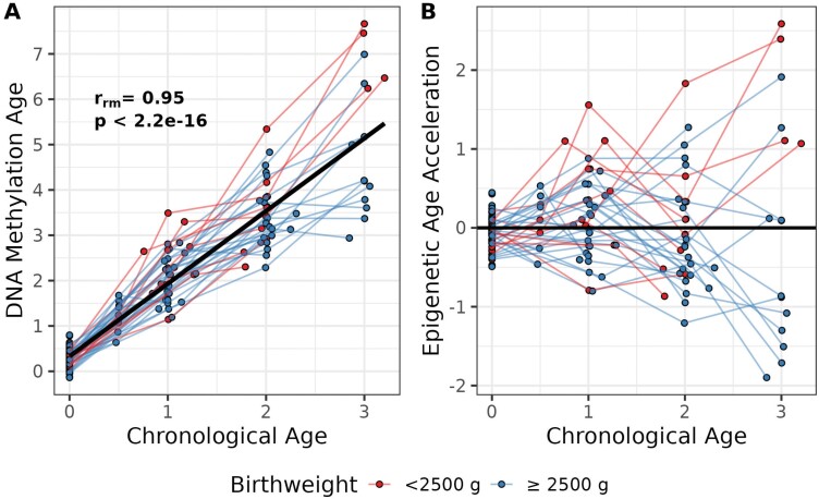 Low birthweight is associated with epigenetic age acceleration in the first 3 years of life.