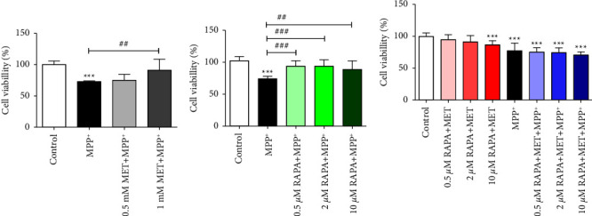 Evaluation of the Combination of Metformin and Rapamycin in an MPP<sup>+</sup>-Treated SH-SY5Y Model of Parkinson's Disease.