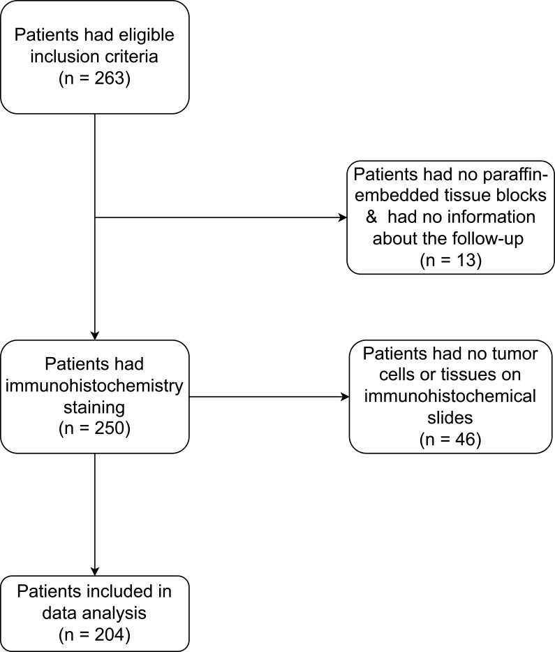 Clinicopathological Risk Factors of Unfavorable Outcomes in Vietnamese Women with Primary Invasive Breast Cancer: A Retrospective Cohort Study.