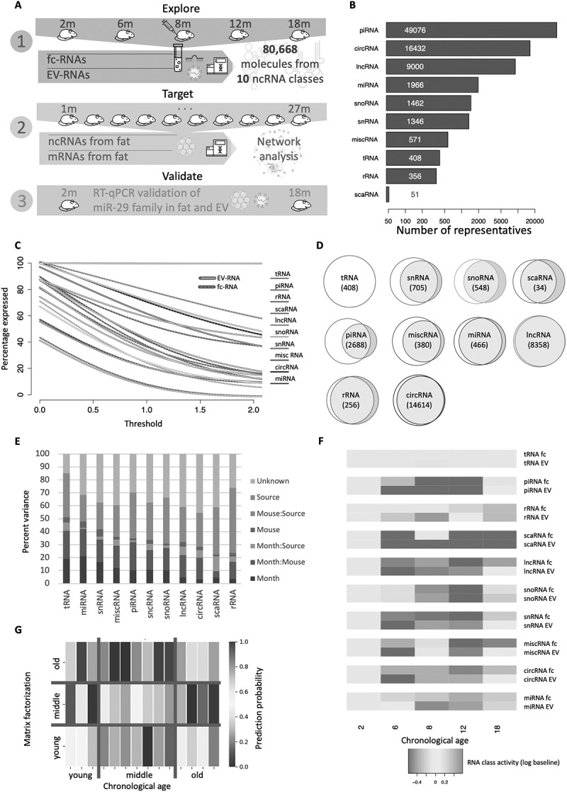 Ageing-associated small RNA cargo of extracellular vesicles.