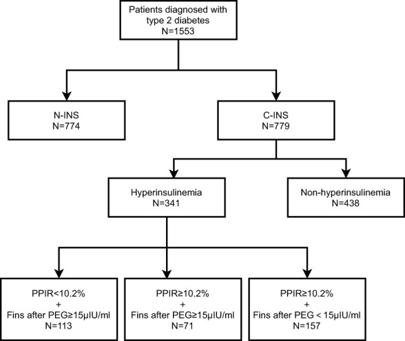 The clinical implications of fasting serum insulin levels in patients with insulin-treated type 2 diabetes: a cross-sectional survey.