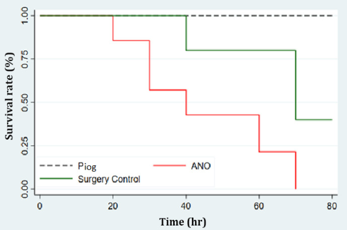 Effects of adenosine N1-Oxide and pioglitazone on inflammatory and antioxidant state in sepsis caused by experimental cecal puncture in rat.