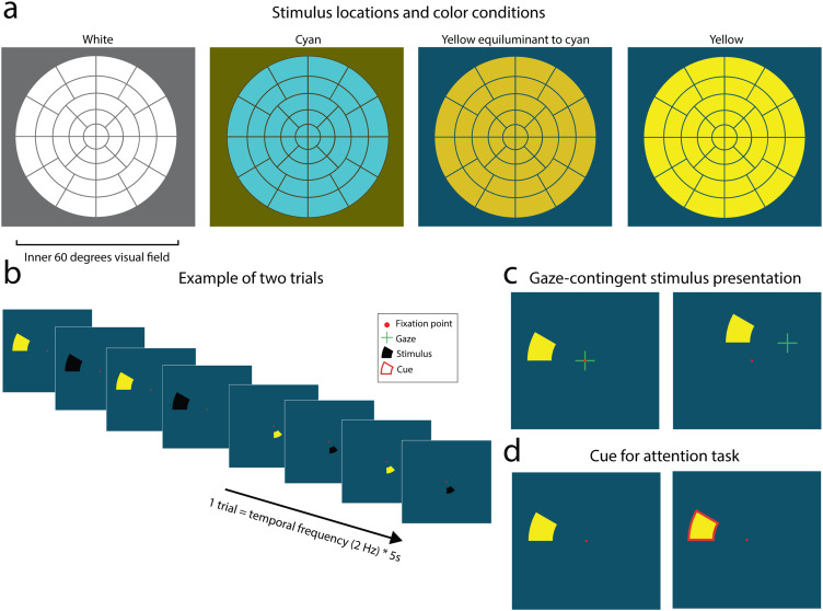 Effects of Stimulus Luminance, Stimulus Color and Intra-Stimulus Color Contrast on Visual Field Mapping in Neurologically Impaired Adults Using Flicker Pupil Perimetry.