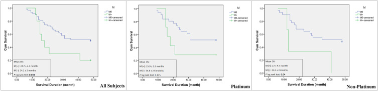 Prognostic Value of Vimentin in Triple Negative Breast Cancer Patients Depends on Chemotherapy Regimen and p53 Mutant Expression.