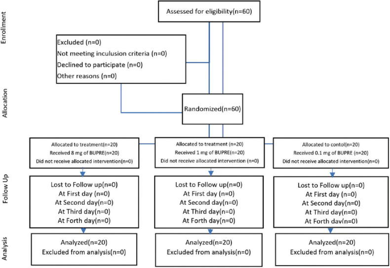 Anxiety treatment of methamphetamine-dependent patients with buprenorphine: A randomized, double-blind, clinical trial.