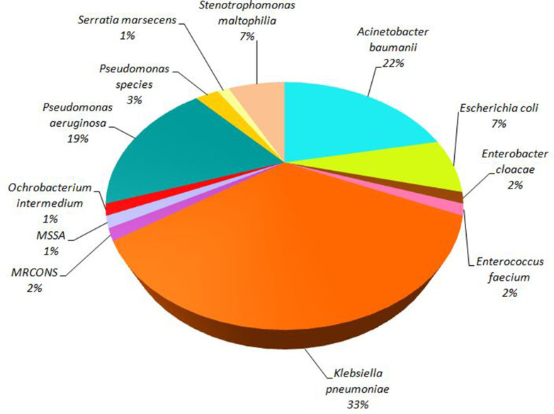 Respiratory bacterial co-infections and their antibiotic resistance pattern in COVID-19 patients at a tertiary care centre in India.