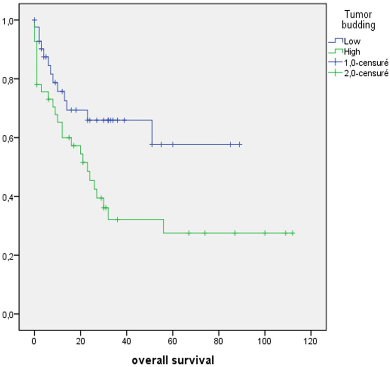 Prognostic Impact of Tumor Budding on Moroccan Gastric Cancer Patients.