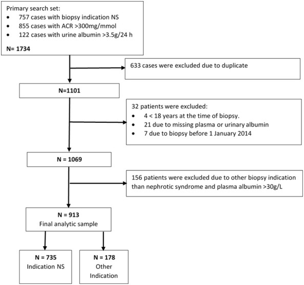 Causes of nephrotic syndrome in Sweden: The relevance of clinical presentation and demographics.