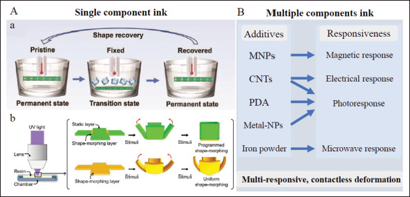 Smart implants: 4D-printed shape-morphing scaffolds for medical implantation.