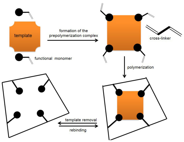 Towards miniaturized electrochemical sensors for monitoring of polychlorinated biphenyls.