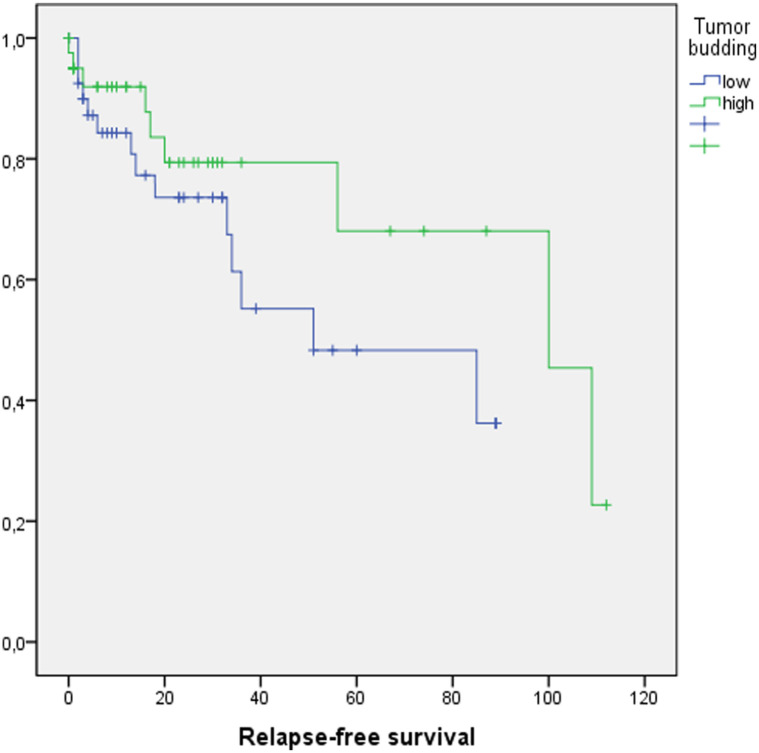 Prognostic Impact of Tumor Budding on Moroccan Gastric Cancer Patients.