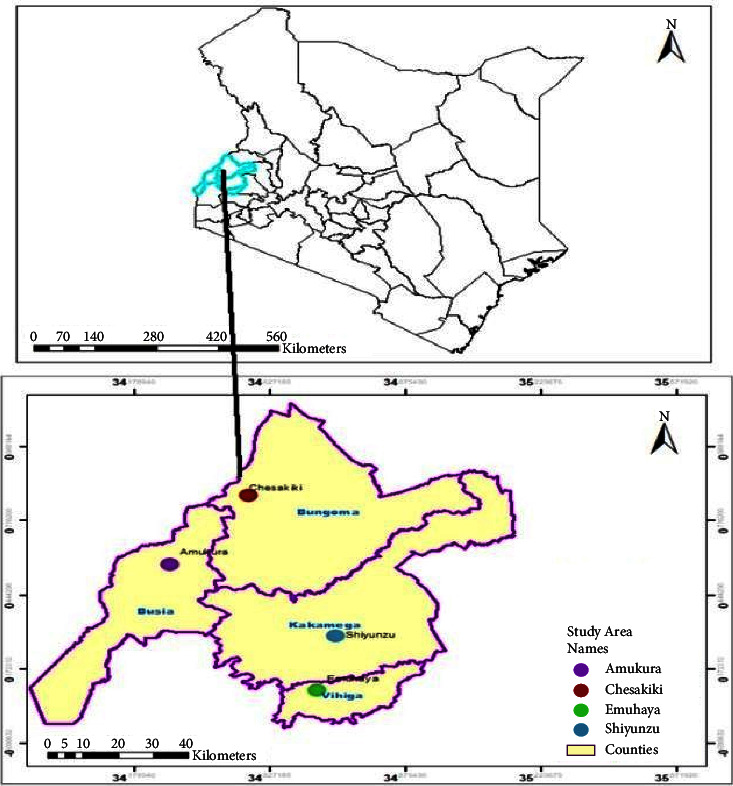 Molecular Characterization and Mineralizing Potential of Phosphorus Solubilizing Bacteria Colonizing Common Bean (<i>Phaseolus vulgaris</i> L.) Rhizosphere in Western Kenya.